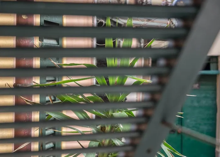 Rissu Comfortable Village Life Apartman Vernazza