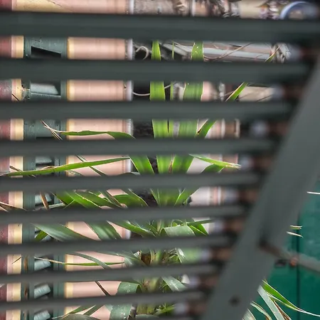 Rissu Comfortable Village Life アパート ヴェルナッツァ